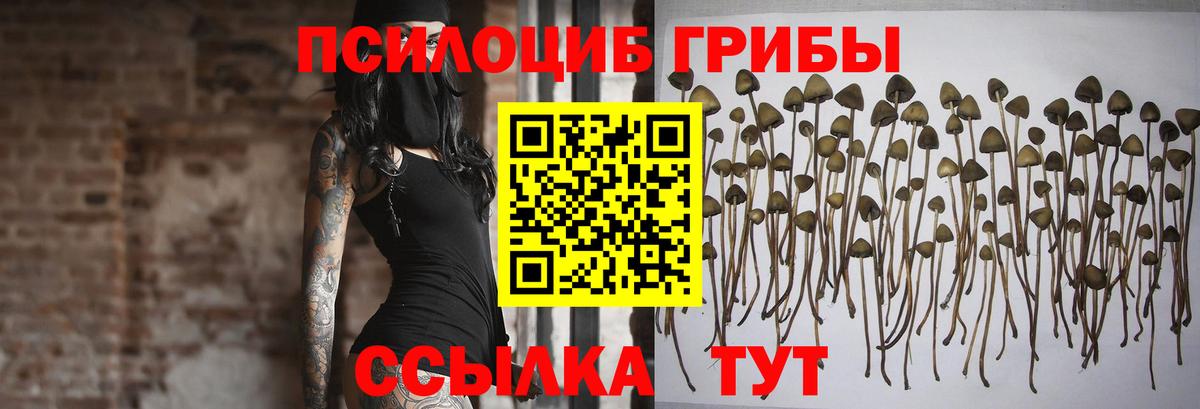 Нижнекамск  Галлюциногенные грибы Magic Shrooms  наркотики  Вход с VPN 